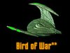 bird_of_war.jpg